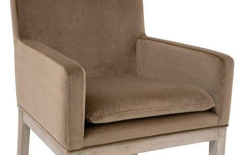 Timeless Minimalist Transitional Velvet Upholstered Armchair