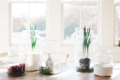 Contemporary Decorative Glass Storage Jar for Kitchen
