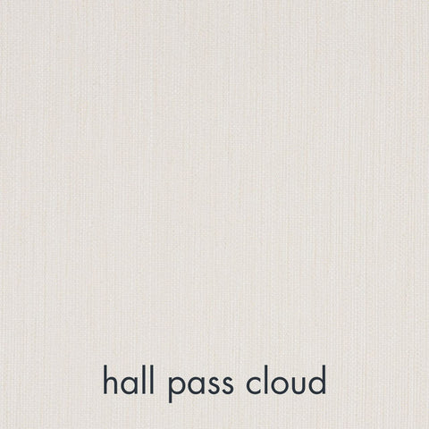 Ginger Contemporary Standard Sofa with Armrests and Loose Cushions