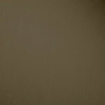 IC Outdoor 2 - Ceiling / Wall Sconce