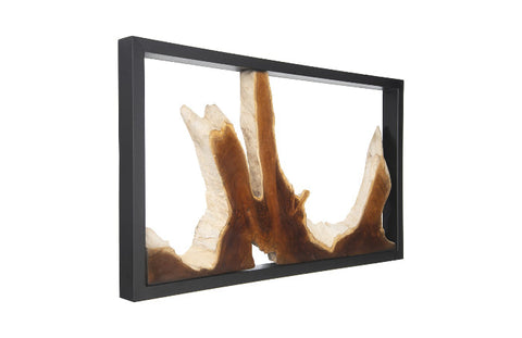 Framed Root Wall Art Organic Modern Three-dimensional Wall Sculpture