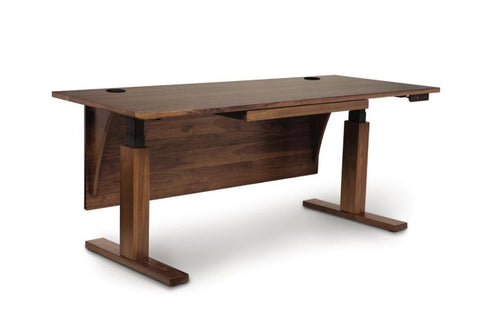 Commercial Contemporary Adjustable Height Standing Desk