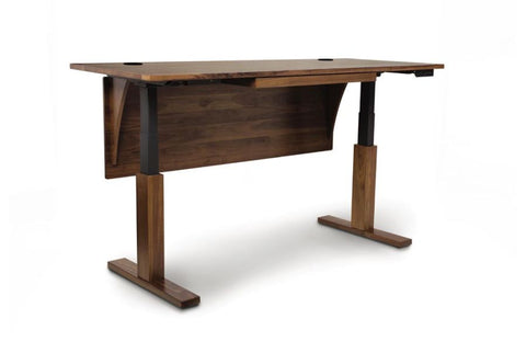 Commercial Contemporary Adjustable Height Standing Desk