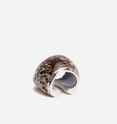 Tiger Shell Napkin Rings