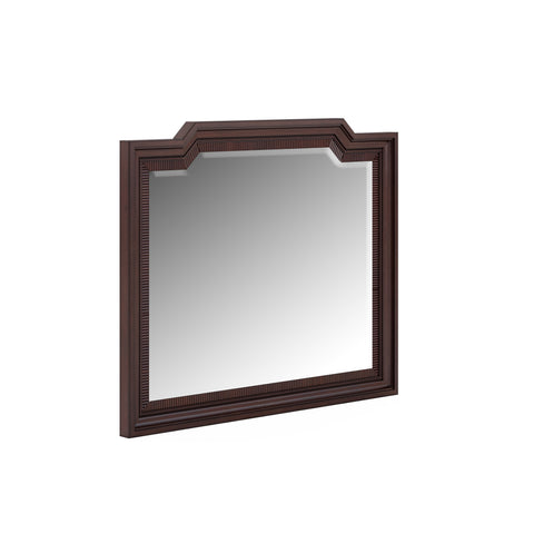 Traditional Contemporary Accent Wall Mirror with Mahogany Frame