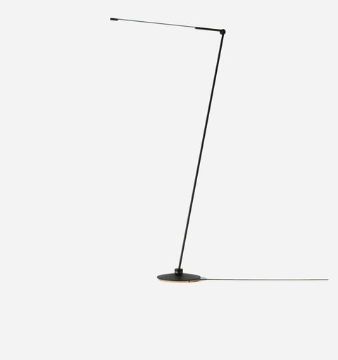 Ambient Sleek Minimalist Floor Lamp with Adjustable Head
