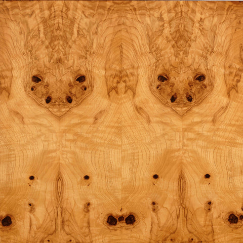 Made Goods Lindsey Timeless Minimalist Contemporary Writing Desk