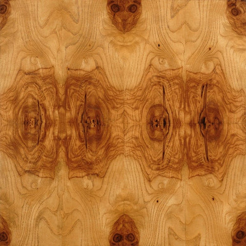 Made Goods Lindsey Timeless Minimalist Contemporary Writing Desk