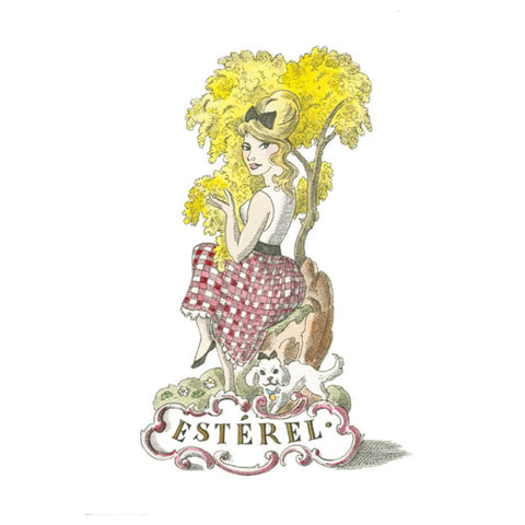 Everyday Classic Filled Candle with Floral Citrus Scent