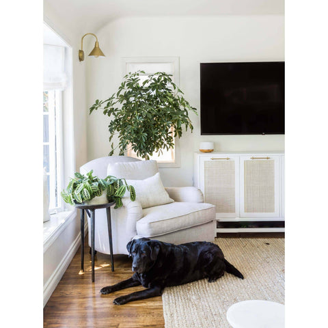 Dublin Modern Industrial Accent Sconce Wall Light