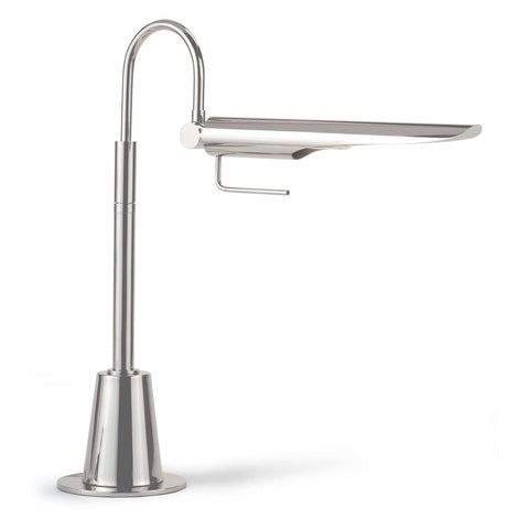 Raven Accent Modern Task Lamp with Adjustable Head