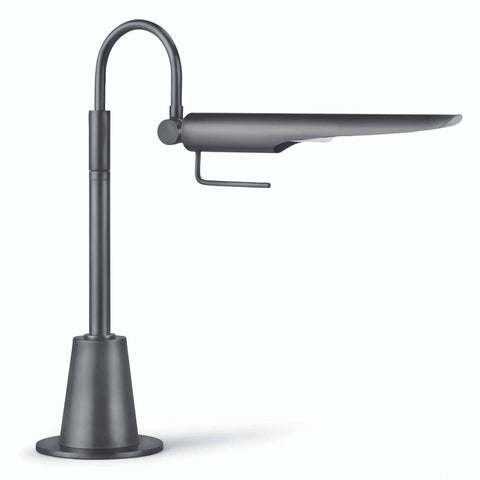 Raven Modern Accent Gooseneck Task Lamp with Adjustable Head