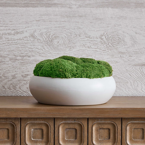 Revelation Moss Centerpiece for Contemporary Indoor Decor