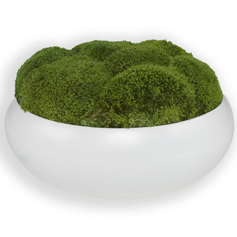 Revelation Moss Centerpiece for Contemporary Indoor Decor