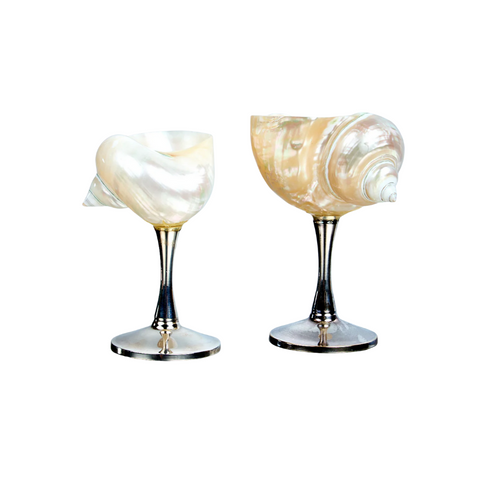 Decorating Essentials Polished Metallic Seashells Coastal Decorative Shell