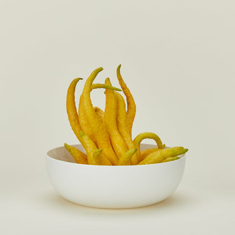 SIMPLE PORCELAIN SERVING BOWL