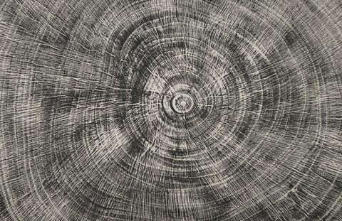 Timeless Minimalist Organic Mango Accent Stool