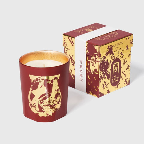 Cire Trudon Candle in Terre A Terre